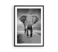 Cuadro Poster de Pared 50x70cm Póster Marco Elefante Salvaje Naturaleza Wall Art