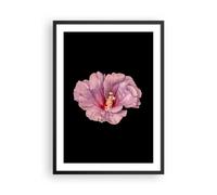 Cuadro Poster de Pared 50x70cm Póster Marco Hibisco Flor Rosa Wall Art Prints