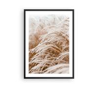 Cuadro Poster de Pared 50x70cm Póster Marco Hierba Naturaleza Escarcha Wall Art