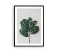 Cuadro Poster de Pared 50x70cm Póster Marco Hojas Planta Botánica Wall Art