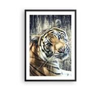 Cuadro Poster de Pared 50x70cm Póster Marco India piedra tigre salvaje Wall Art