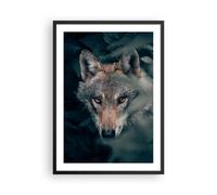 Cuadro Poster de Pared 50x70cm Póster Marco lobo bosque depredador Wall Art