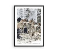 Cuadro Poster de Pared 50x70cm Póster Marco Manada Lobos Invierno Wall Art