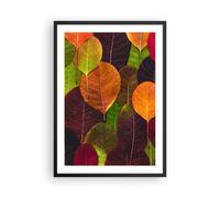 Cuadro Poster de Pared 50x70cm Póster Marco Otoño Hojas Gráficos Wall Art Prints