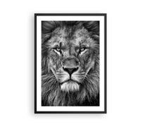 Cuadro Poster de Pared 50x70cm Póster Marco Retrato León Blanco Y Negro Wall Art