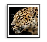 Cuadro Poster de Pared 60x60cm Animales leopardo gato salvaje animales salvajes