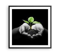 Cuadro Poster de Pared 60x60cm Marco Naturaleza planta ciencia protección Art