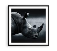Cuadro Poster de Pared 60x60cm Marco Rinoceronte Blanco Y Negro Retrato Art