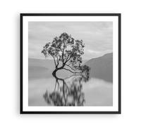 Cuadro Poster de Pared 60x60cm Póster Marco Árbol Simetría Lago Wall Art Prints