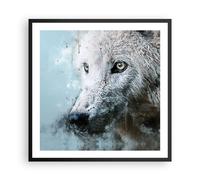 Cuadro Poster de Pared 60x60cm Póster Marco Blanco El Lobo Imagen Wall Art