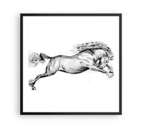 Cuadro Poster de Pared 60x60cm Póster Marco Caballo Dibujo Lápiz Wall Art Prints