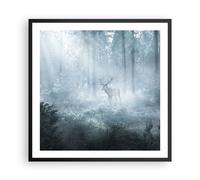 Cuadro Poster de Pared 60x60cm Póster Marco Ciervo Bosque Amanecer Wall Art