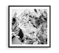 Cuadro Poster de Pared 60x60cm Póster Marco Flores Blanco Y Negro Fotografía Art