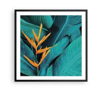 Cuadro Poster de Pared 60x60cm Póster Marco Flores Tropicales Hojas Wall Art