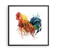 Cuadro Poster de Pared 60x60cm Póster Marco Gallo Ilustration Animal colores Art