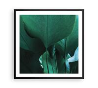Cuadro Poster de Pared 60x60cm Póster Marco Hojas Palmeras Plátano Wall Art