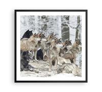 Cuadro Poster de Pared 60x60cm Póster Marco Manada Lobos Invierno Wall Art