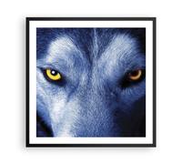 Cuadro Poster de Pared 60x60cm Póster Marco Mira El Lobo Ojos Wall Art Prints