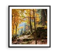 Cuadro Poster de Pared 60x60cm Póster Marco Otoño montaña bosque naturaleza Art