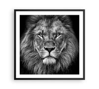 Cuadro Poster de Pared 60x60cm Póster Marco Retrato León Blanco Y Negro Wall Art