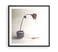 Cuadro Poster de Pared 60x60cm Póster Marco Símbolo Rosa Sufrimiento Wall Art