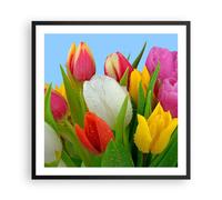 Cuadro Poster de Pared 60x60cm Póster Marco Tulipanes ramo flores rocío Wall Art