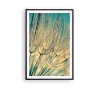 Cuadro Poster de Pared 61x91cm Diente De León Macro Diente De León Wall Art