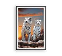 Cuadro Poster de Pared 61x91cm Marco Tigres blanco roca puesta del sol Wall Art