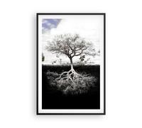Cuadro Poster de Pared 61x91cm Póster Marco Árbol Las Raíces Reflexión Wall Art