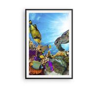 Cuadro Poster de Pared 61x91cm Póster Marco arrecife de coral Wall Art Prints