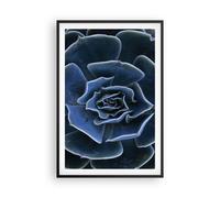 Cuadro Poster de Pared 61x91cm Póster Marco Azul Cactus Flor Wall Art Prints