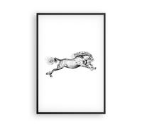 Cuadro Poster de Pared 61x91cm Póster Marco Caballo Dibujo Lápiz Wall Art Prints