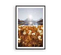 Cuadro Poster de Pared 61x91cm Póster Marco Dientes De León Sol Campo Wall Art