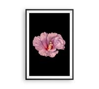 Cuadro Poster de Pared 61x91cm Póster Marco Hibisco Flor Rosa Wall Art Prints