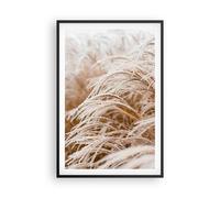Cuadro Poster de Pared 61x91cm Póster Marco Hierba Naturaleza Escarcha Wall Art