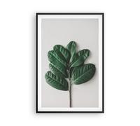 Cuadro Poster de Pared 61x91cm Póster Marco Hojas Planta Botánica Wall Art