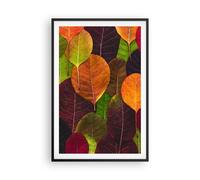 Cuadro Poster de Pared 61x91cm Póster Marco Otoño Hojas Gráficos Wall Art Prints