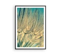 Cuadro Poster de Pared 70x100cm Diente De León Macro Diente De León Wall Art