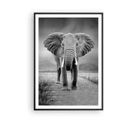 Cuadro Poster de Pared 70x100cm Marco Elefante Salvaje Naturaleza Wall Art