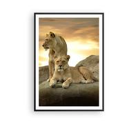 Cuadro Poster de Pared 70x100cm Marco Leones puesta de sol rocas garras Wall Art