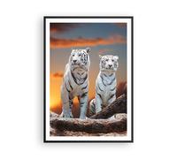 Cuadro Poster de Pared 70x100cm Marco Tigres blanco roca puesta del sol Wall Art