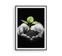 Cuadro Poster de Pared 70x100cm Naturaleza planta ciencia protección Wall Art