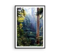 Cuadro Poster de Pared 70x100cm Póster Marco amanecer árboles bosque Wall Art