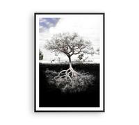 Cuadro Poster de Pared 70x100cm Póster Marco Árbol Las Raíces Reflexión Wall Art