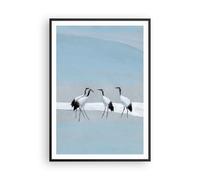 Cuadro Poster de Pared 70x100cm Póster Marco Aves Grullas Naturaleza Wall Art
