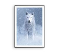 Cuadro Poster de Pared 70x100cm Póster Marco Blanco lobo nieve Wall Art Prints