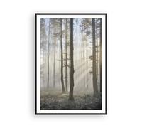 Cuadro Poster de Pared 70x100cm Póster Marco bosque arbol naturaleza Wall Art