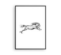Cuadro Poster de Pared 70x100cm Póster Marco Caballo Dibujo Lápiz Wall Art