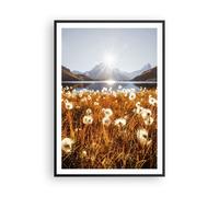 Cuadro Poster de Pared 70x100cm Póster Marco Dientes De León Sol Campo Wall Art