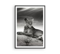 Cuadro Poster de Pared 70x100cm Póster Marco fauna femenino gato animal Wall Art